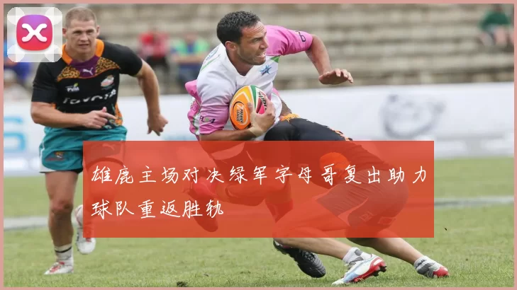 雄鹿主场对决绿军字母哥复出助力球队重返胜轨
