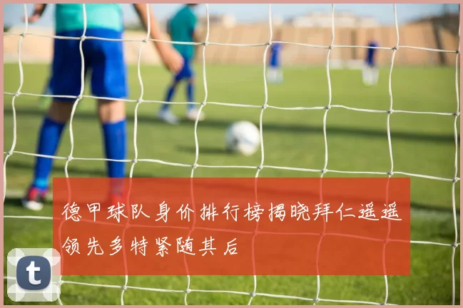 德甲球队身价排行榜揭晓拜仁遥遥领先多特紧随其后