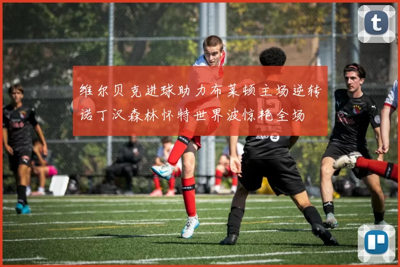维尔贝克进球助力布莱顿主场逆转诺丁汉森林怀特世界波惊艳全场